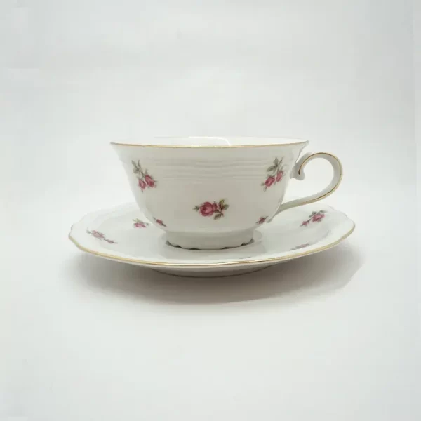 Vintage Cup and Saucer 1-1