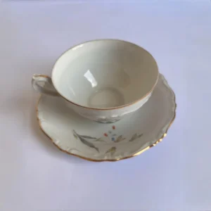 European Vintage Tea Cup 2