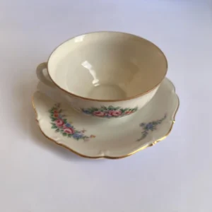 European Vintage Tea Cup 5